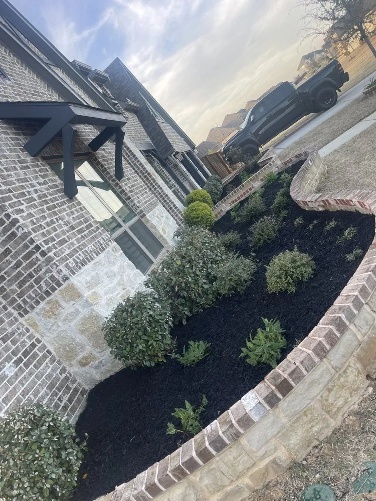 Professional yard cleanup service in Lewisville, TX by Rodriguez fences Installation