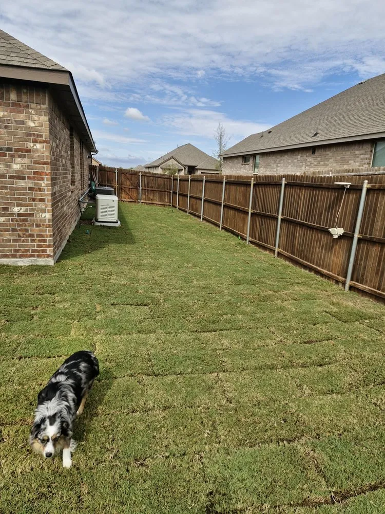 Local yard maintenance for outdoor upgrades in Lewisville, TX by Rodriguez fences Installation