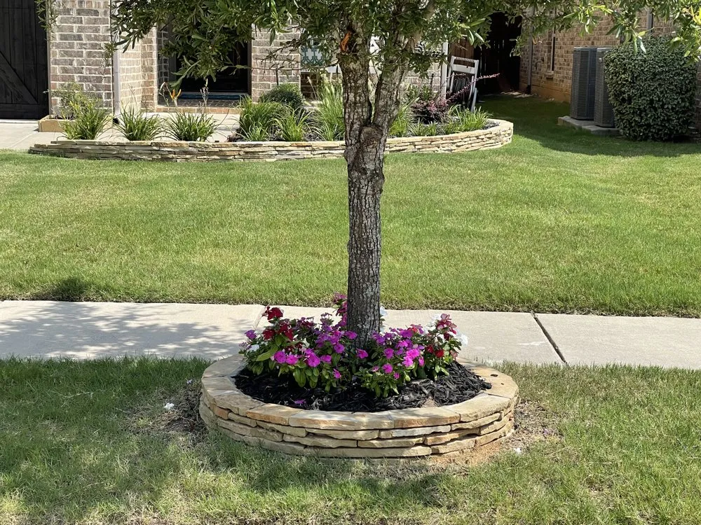 Top-rated yard cleanup service experts serving Lewisville, TX - Rodriguez fences Installation