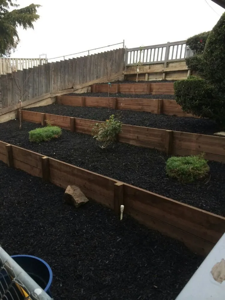 Expert outdoor landscaping in Concord, CA - Rodriguez Garden & Maintenance