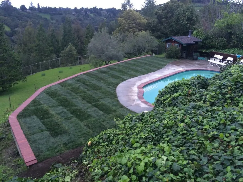 Affordable residential landscaping in Concord, CA by Rodriguez Garden & Maintenance