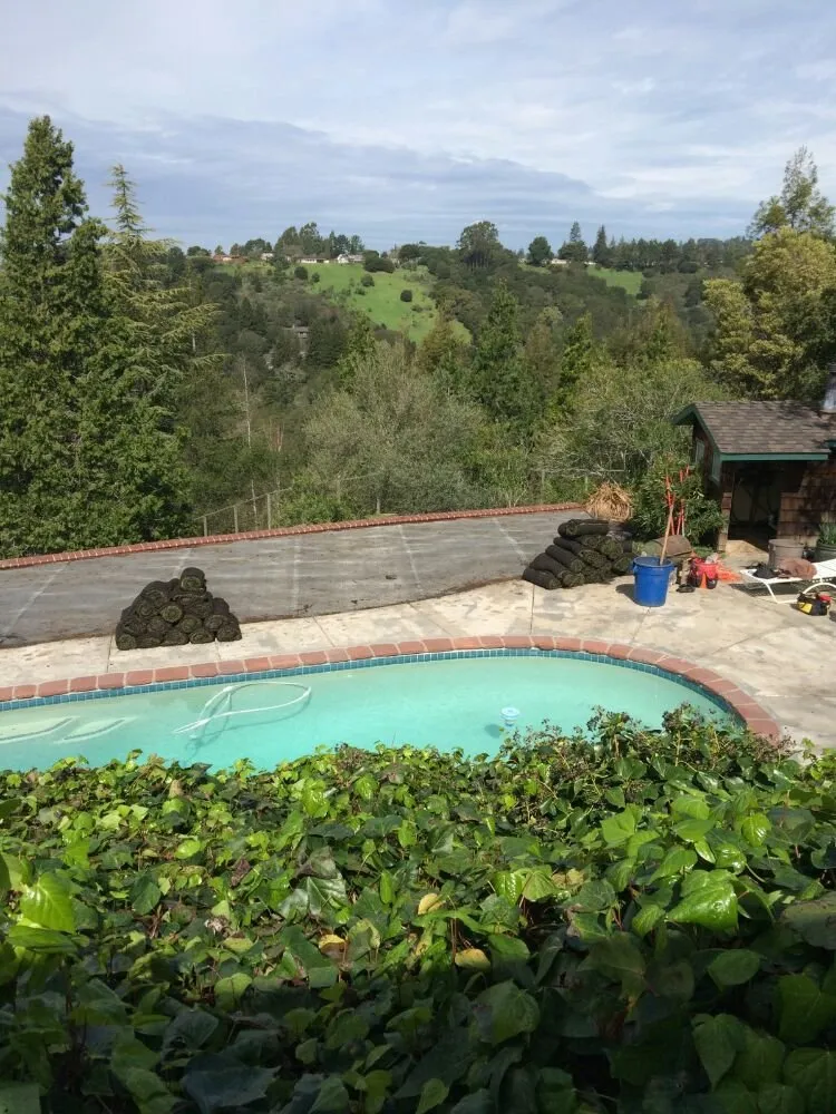 Trusted residential landscaping in Concord, CA - Rodriguez Garden & Maintenance