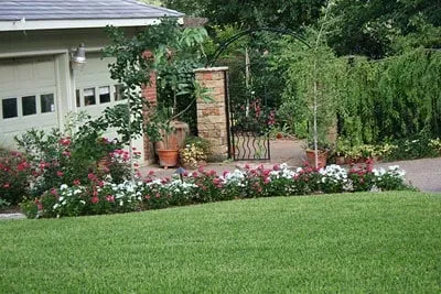 Affordable yard cleanup service experts serving Concord, CA - Rodriguez Garden & Maintenance