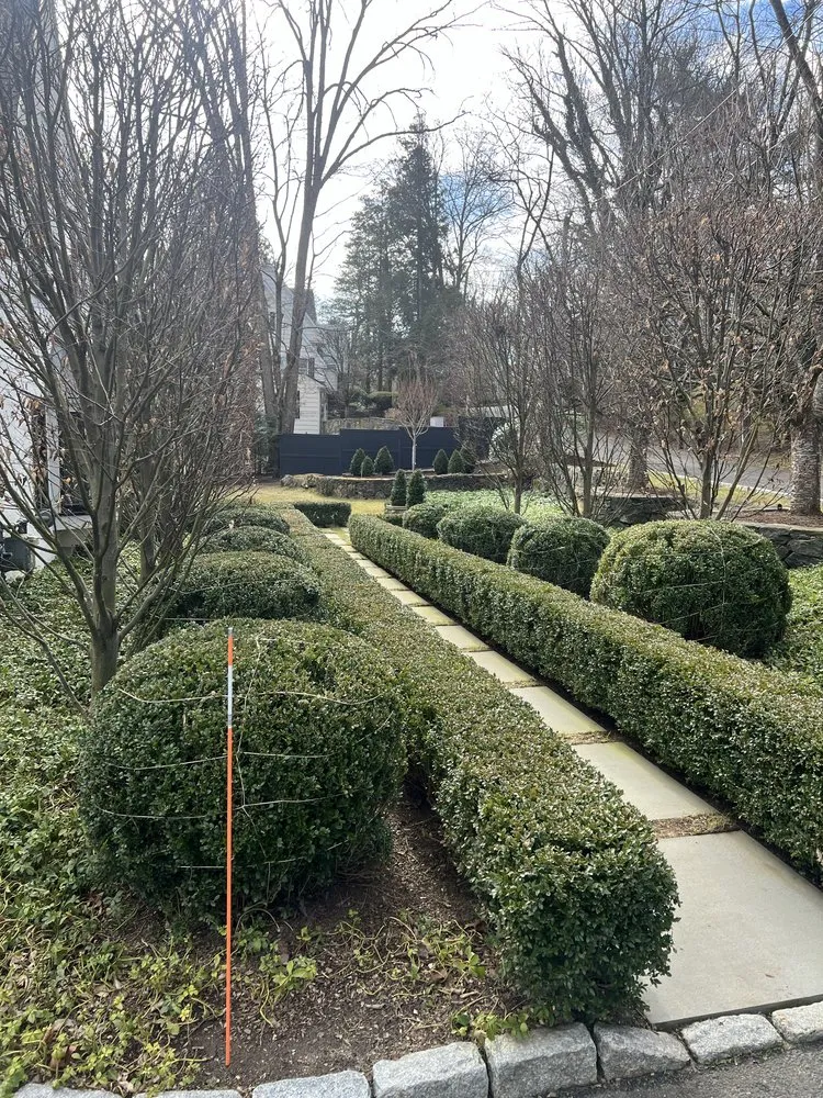 Professional yard cleanup service for homes in Stamford, CT by Rodriguez Garden and Stone