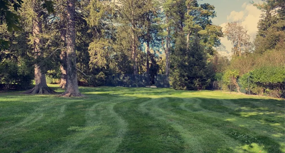 Affordable yard maintenance in Stamford, CT - Rodriguez Garden and Stone