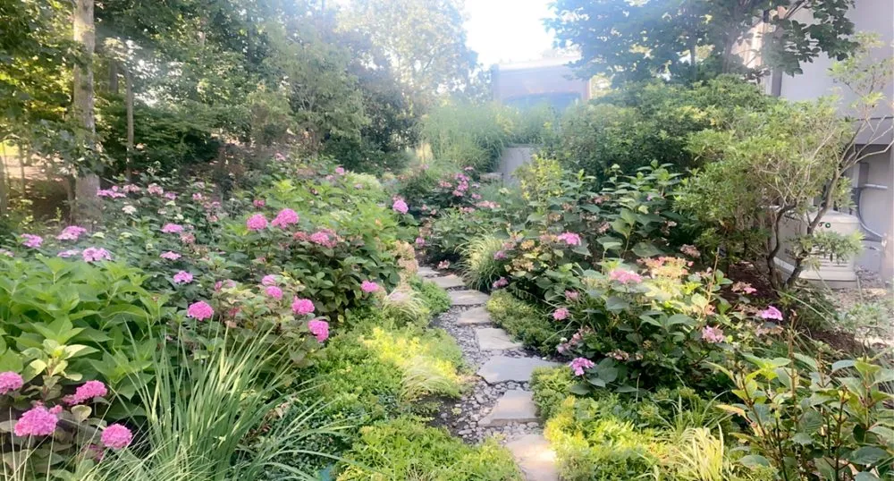 Local lawn mowing service in Stamford, CT - Rodriguez Garden and Stone