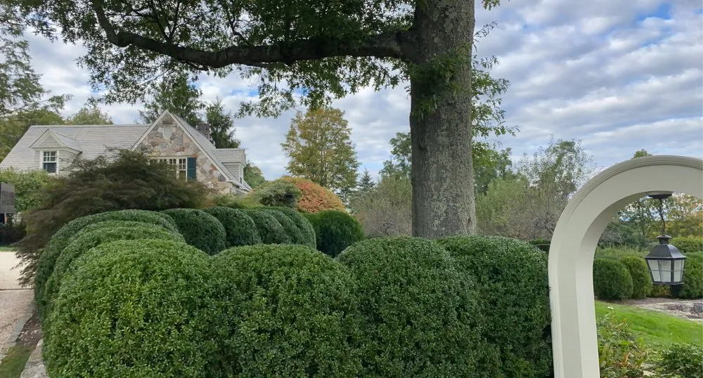 Affordable lawn care service in Stamford, CT - Rodriguez Garden and Stone