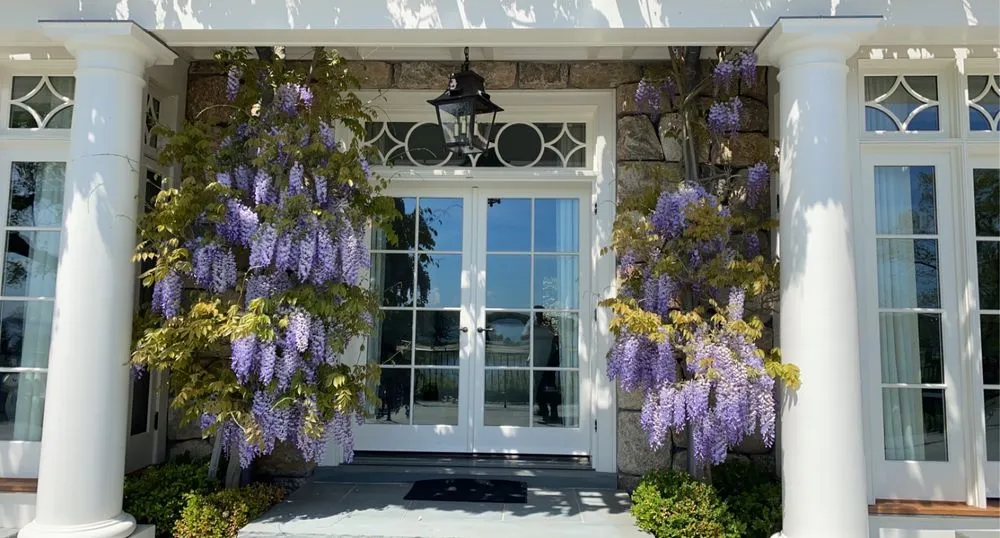 Professional yard cleanup service for outdoor upgrades in Stamford, CT by Rodriguez Garden and Stone