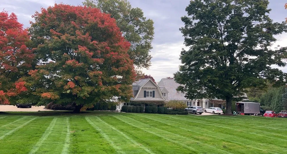 Custom yard cleanup service for outdoor upgrades in Stamford, CT by Rodriguez Garden and Stone