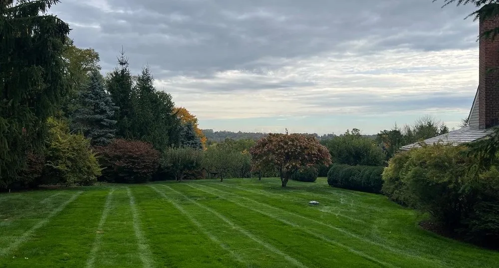 Affordable outdoor landscaping in Stamford, CT by Rodriguez Garden and Stone