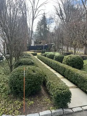 Rodriguez Garden and Stone