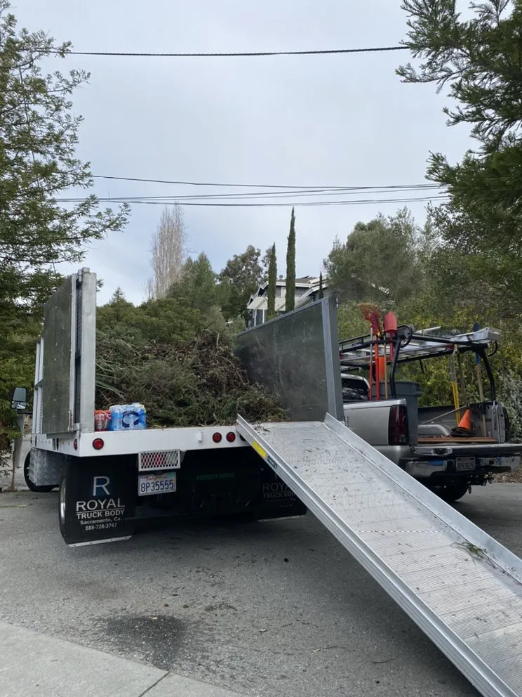 Trusted yard maintenance in Redwood City, CA by Rodriguez Garden Service