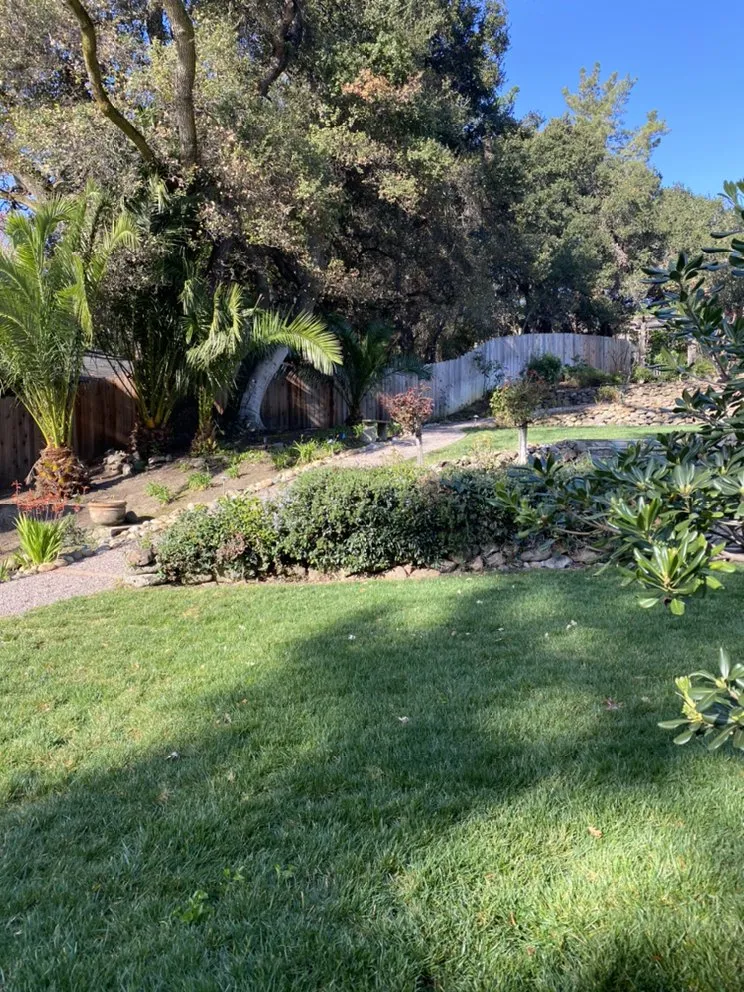 Trusted lawn mowing service in Redwood City, CA - Rodriguez Garden Service