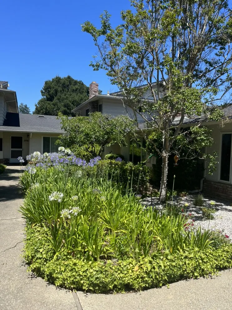 Custom landscaping services in Redwood City, CA - Rodriguez Garden Service