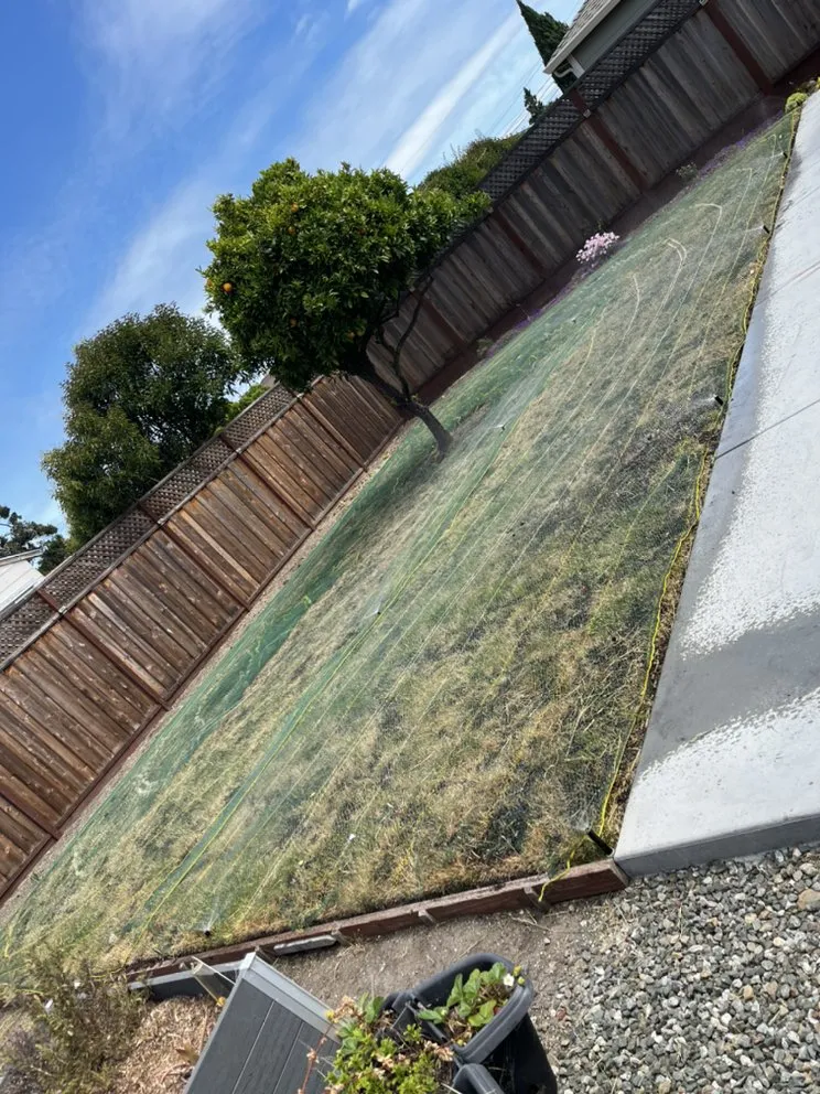 Reliable garden landscaping for year-round maintenance across Redwood City, CA - Rodriguez Garden Service