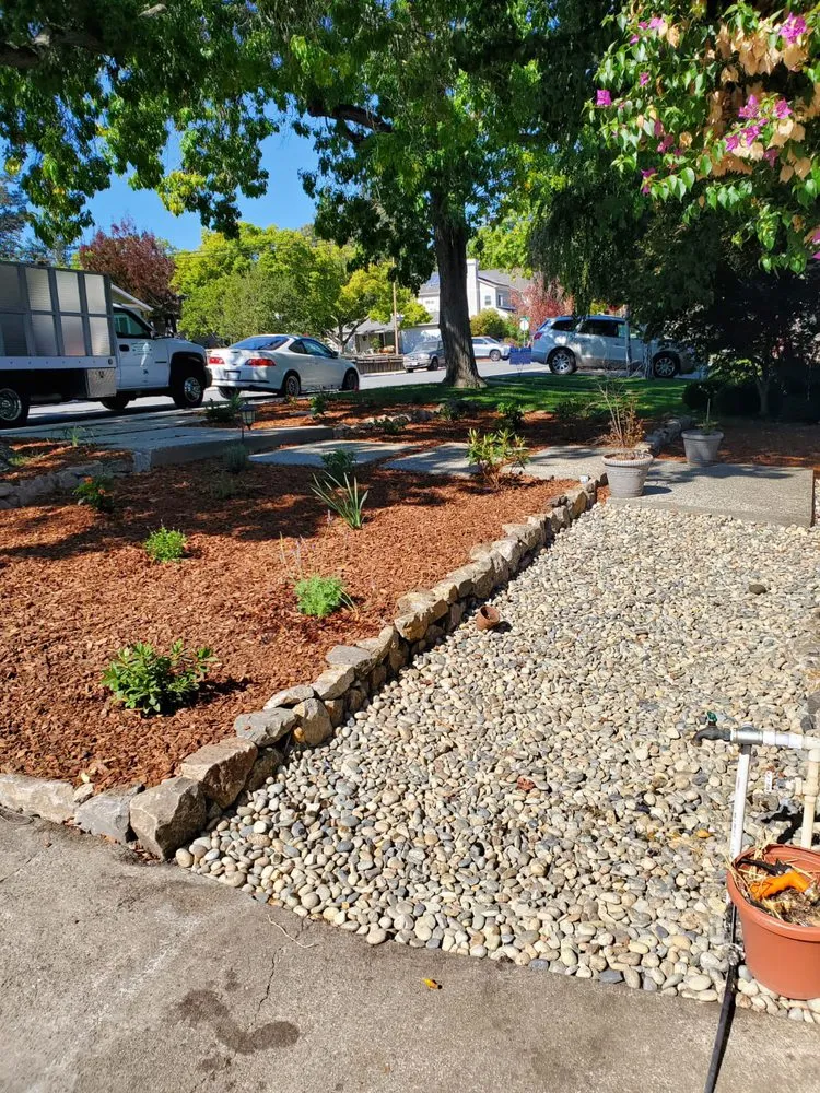 Professional garden landscaping in Redwood City, CA - Rodriguez Garden Service