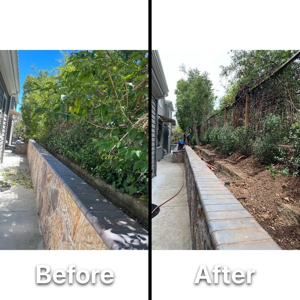 Professional garden landscaping experts serving Redwood City, CA - Rodriguez Garden Service