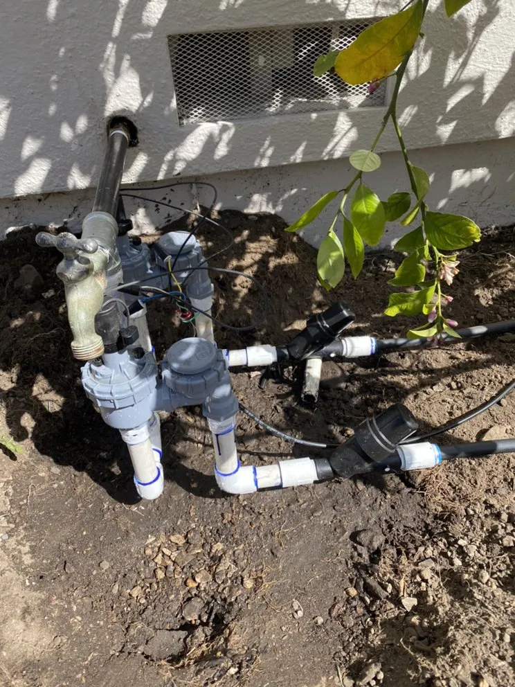 Professional garden landscaping experts serving Redwood City, CA - Rodriguez Garden Service