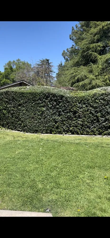 Custom landscaping services experts serving Sacramento, CA - Rodriguez Gardening