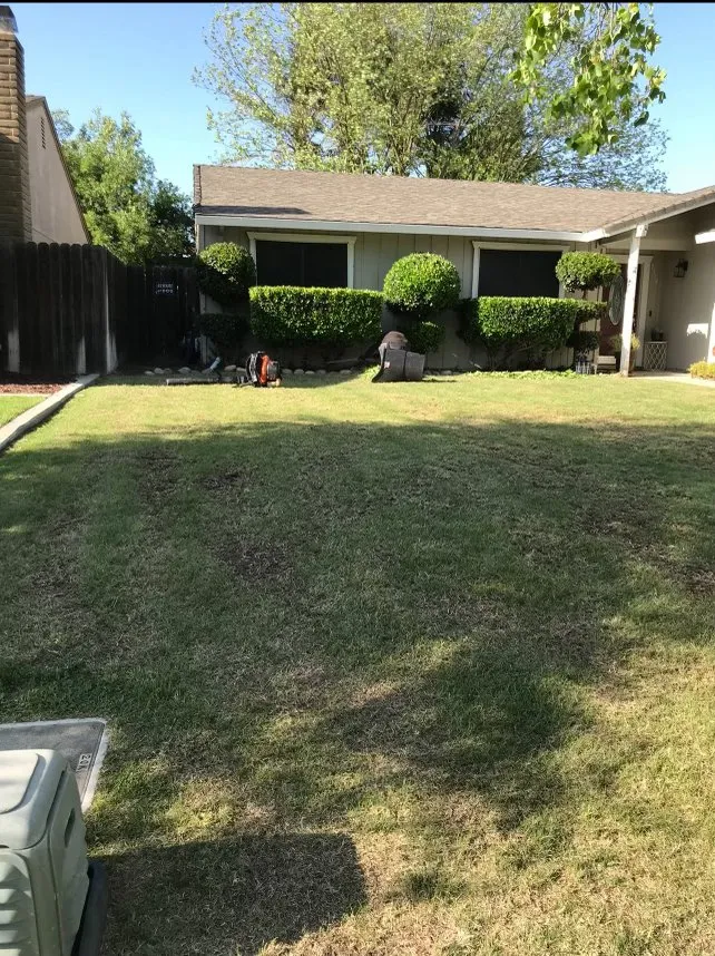 Professional landscaping services for outdoor upgrades across Sacramento, CA - Rodriguez Gardening