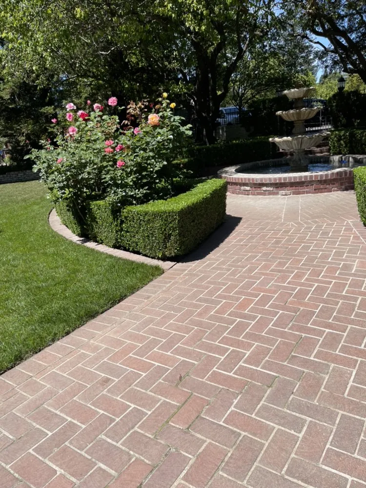 Top-rated residential landscaping in Sacramento, CA by Rodriguez Gardening