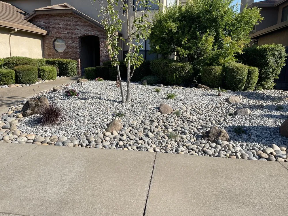 Trusted yard cleanup service experts serving Sacramento, CA - Rodriguez Gardening