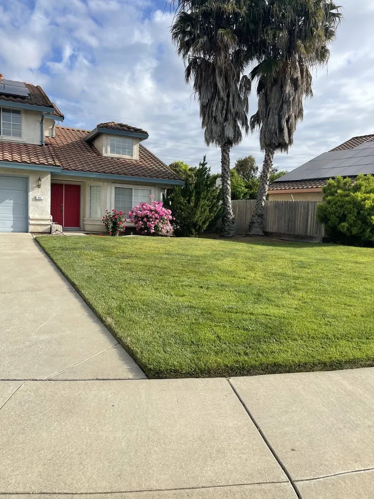 Top-rated yard cleanup service with custom design across Sacramento, CA - Rodriguez Gardening