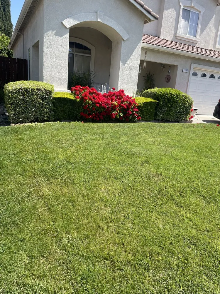 Local yard cleanup service for residential properties across Sacramento, CA - Rodriguez Gardening