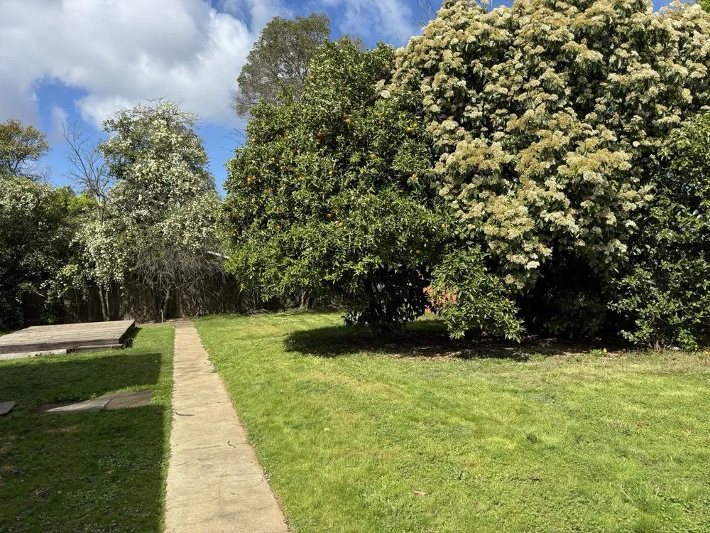 Local lawn mowing service in Sacramento, CA by Rodriguez Gardening