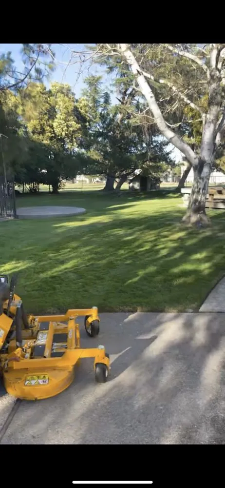 Professional yard cleanup service experts serving Sacramento, CA - Rodriguez Gardening