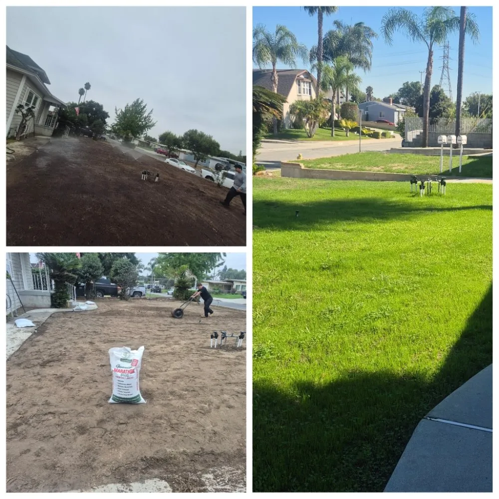 Top-rated garden landscaping in Covina, CA by Rodriguez Gardening Services