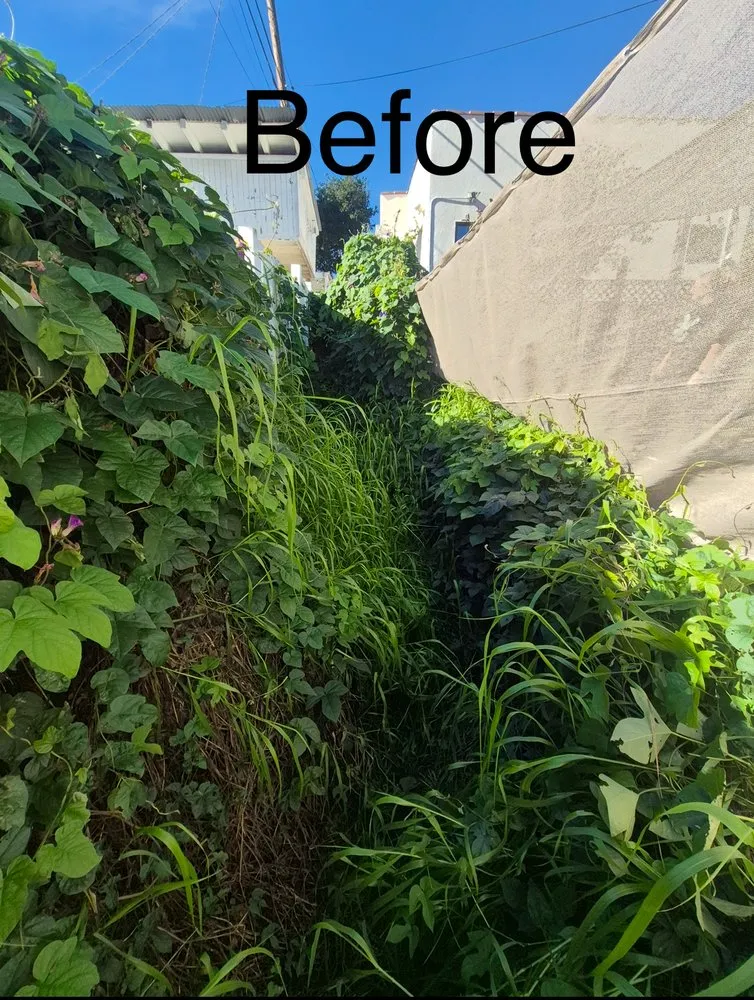 Expert landscape design in Covina, CA by Rodriguez Gardening Services