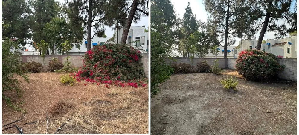 Professional landscape installation experts serving Covina, CA - Rodriguez Gardening Services