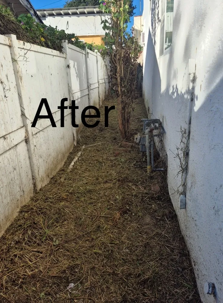 Affordable yard cleanup service experts serving Covina, CA - Rodriguez Gardening Services