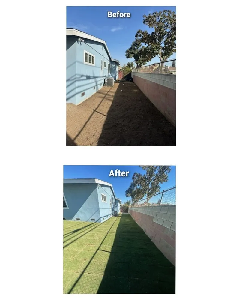 Professional landscaping services experts serving Covina, CA - Rodriguez Gardening Services