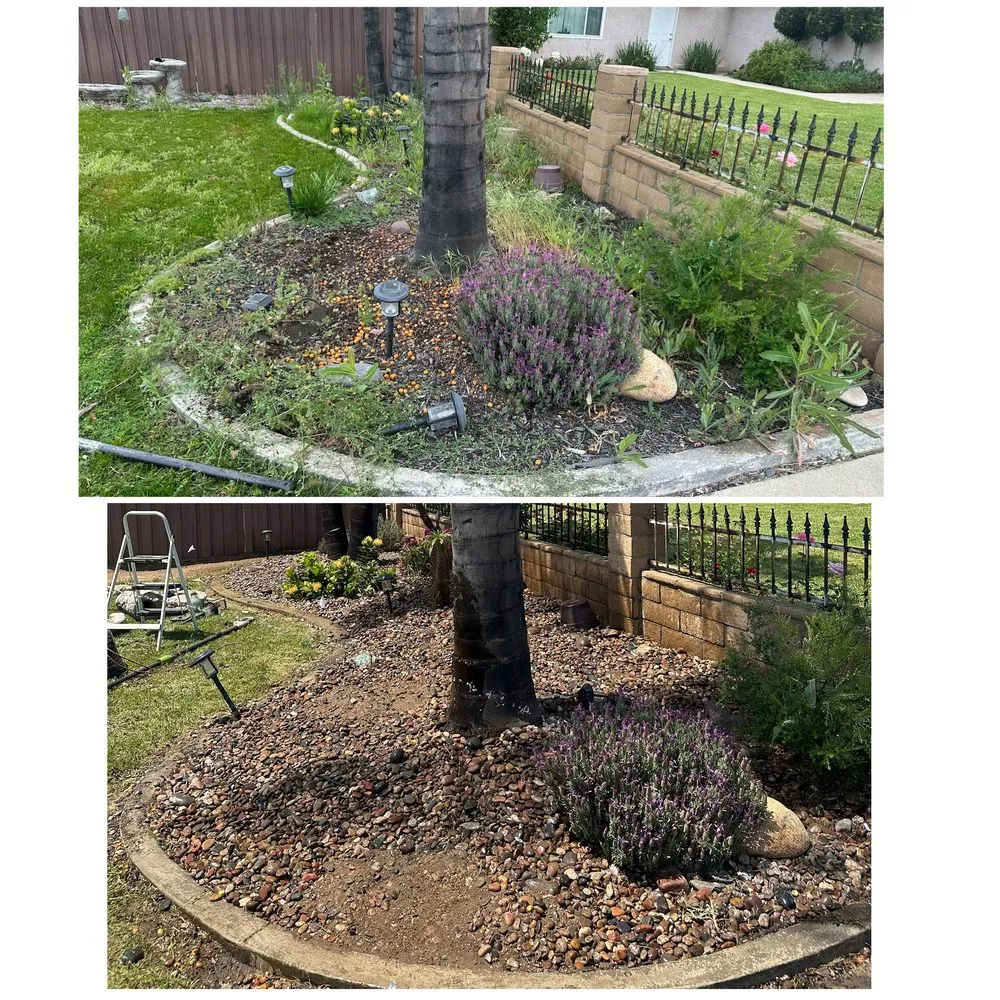 Professional garden landscaping for year-round maintenance across Covina, CA - Rodriguez Gardening Services