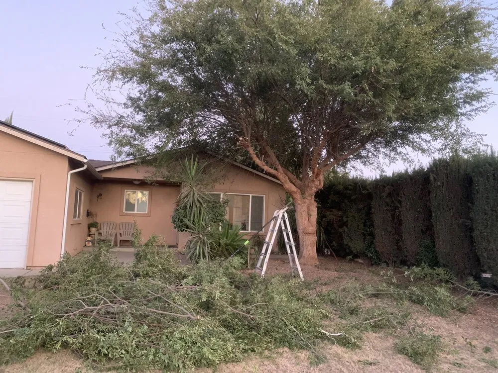 Local lawn mowing service in Sanger, CA by Rodriguez Handy Works