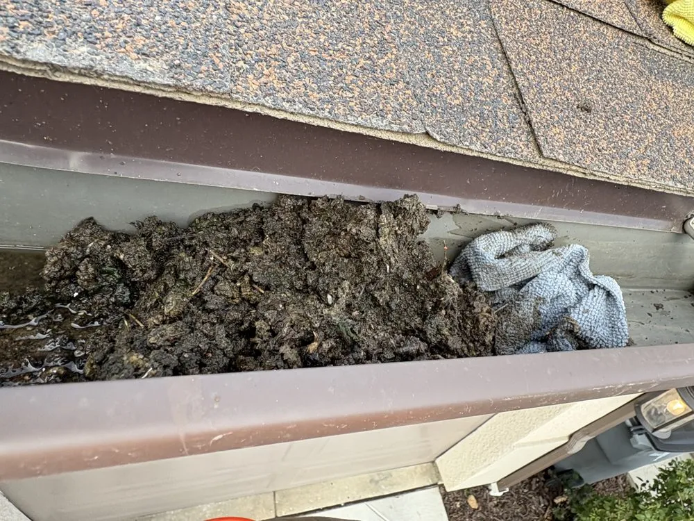 Trusted garden landscaping experts serving Sanger, CA - Rodriguez Handy Works