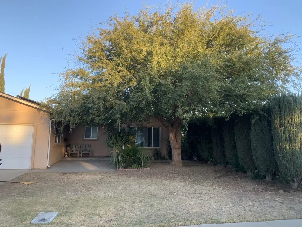 Top-rated residential landscaping for year-round maintenance in Sanger, CA by Rodriguez Handy Works