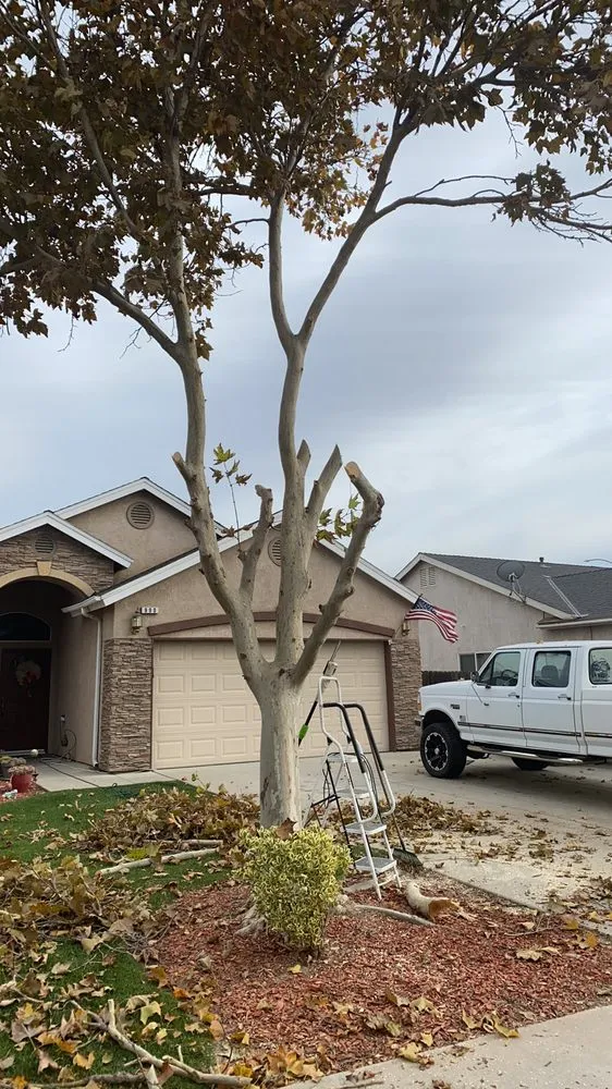 Trusted landscape installation for year-round maintenance across Wasco, CA - Rodriguez Handyman