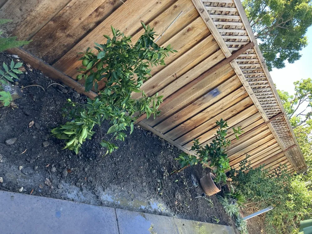 Custom landscape installation with custom design in Campbell, CA by Rodriguez Home Services