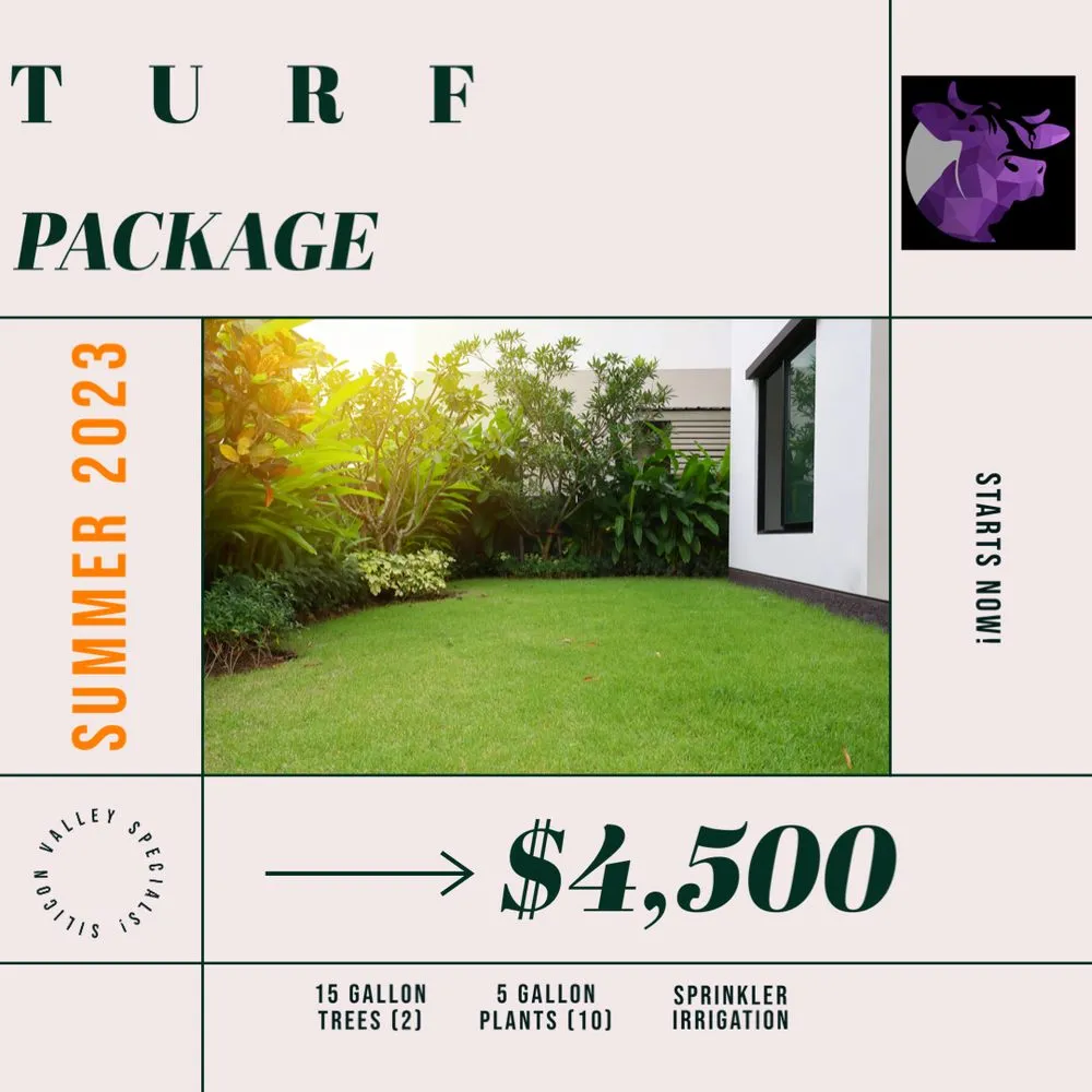 Affordable yard cleanup service for homes across Campbell, CA - Rodriguez Home Services