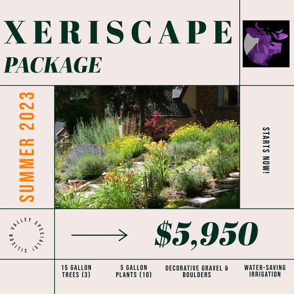 Affordable yard maintenance experts serving Campbell, CA - Rodriguez Home Services