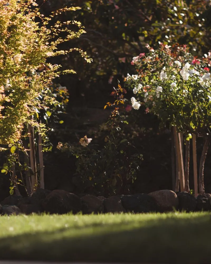 Trusted landscape design in Campbell, CA - Rodriguez Home Services