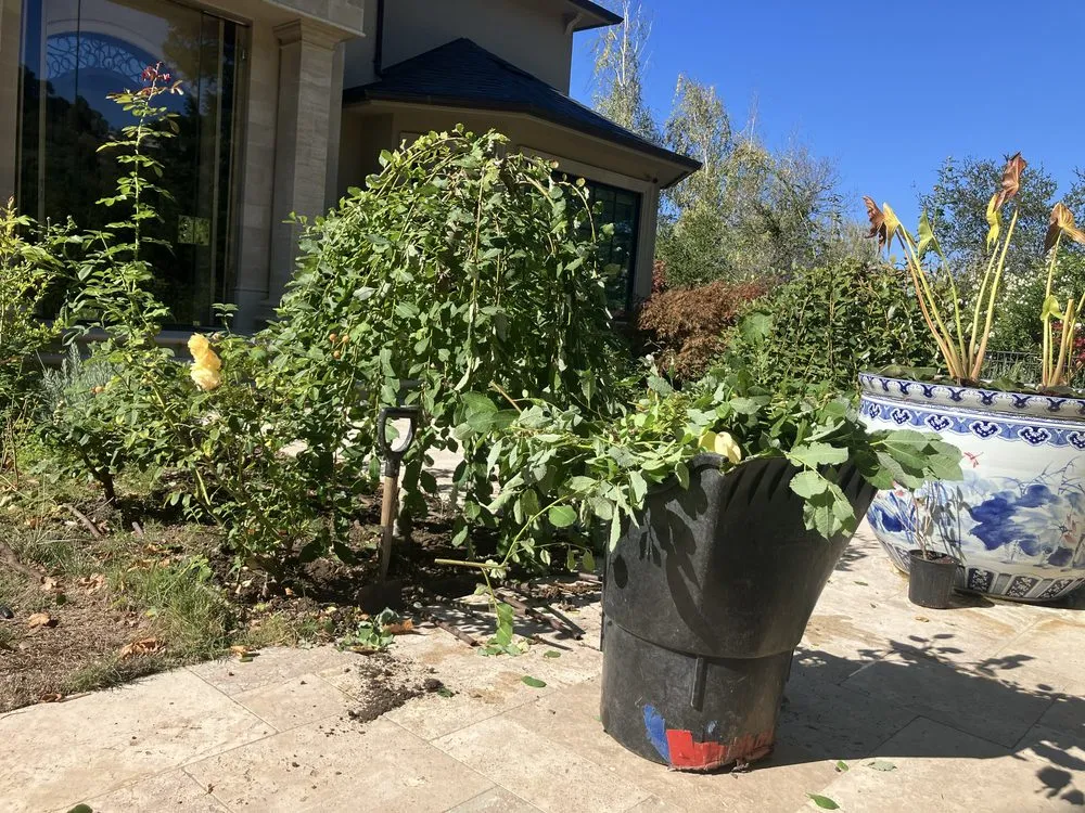 Top-rated landscape installation in Campbell, CA by Rodriguez Home Services