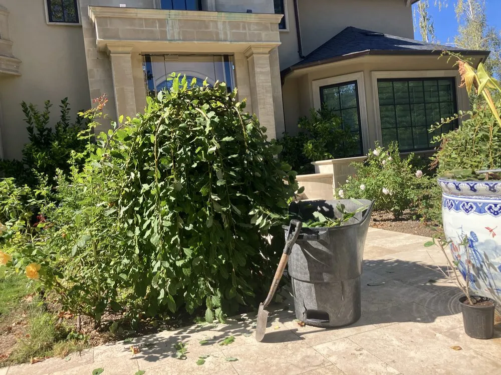 Top-rated lawn care service in Campbell, CA by Rodriguez Home Services