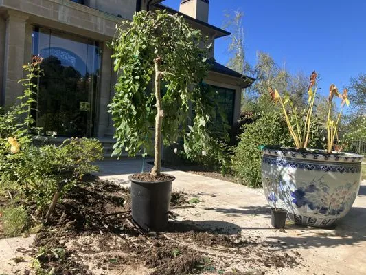 Rodriguez Home Services