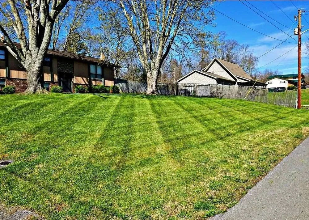 Custom outdoor landscaping in Knoxville, TN by Rodriguez Land Management