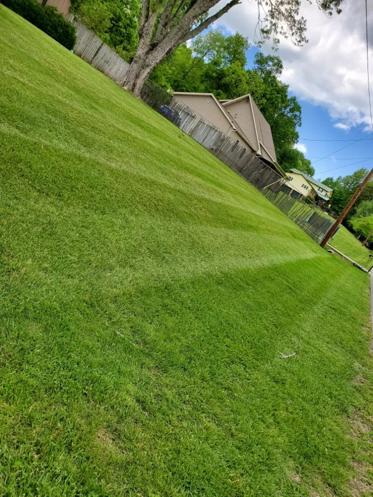 Professional outdoor landscaping in Knoxville, TN by Rodriguez Land Management