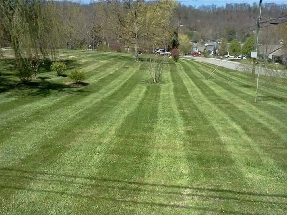 Affordable landscape installation for homes in Knoxville, TN by Rodriguez Land Management
